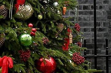 Das Bild zeigt einen festlich geschmückten Weihnachtsbaum im Vordergrund. Die grünen Tannenzweige sind dicht und tragen verschiedene Dekorationen. Auffällig sind mehrere große, glänzende Christbaumkugeln in Rot, Grün und Gold. Zusätzlich hängen goldene Zapfen und rote Schleifen an den Zweigen. Es gibt auch kleine Bündel aus roten Beeren, die wie Ilex-Früchte aussehen. Zwischen den klassischen Ornamenten befinden sich einige ungewöhnliche Anhänger, darunter eine kleine Karotte und ein länglicher Gegenstand, der wie ein Miniaturgebäude wirkt. Im Hintergrund ist eine dunkle Steinmauer mit senkrechten schwarzen Metallstäben zu sehen, die vermutlich zu einem Zaun gehören. Die Beleuchtung ist natürlich, ohne sichtbare Lichtquellen, und die Farben wirken kräftig und kontrastreich.