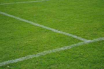 Das Bild zeigt einen Abschnitt eines grünen Grasfeldes mit weißen Linien, die die Grenzen markieren. Die Linien schneiden sich im rechten Winkel, was darauf hinweist, dass dies ein Teil eines Sportfeldes ist, wahrscheinlich für Fußball. Es gibt keine anderen Objekte oder Texte im Bild. Foto: BFV 