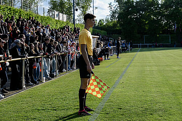 Person with linesman's flag on the edge of the pitch; full stands, green pitch, sunny outdoor game with clear lines. Photo: Sandra Ritschel