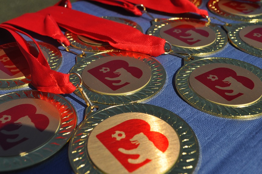 Auf dem Foto liegen mehrere goldfarbene Medaillen auf einem blauen Stoff. Jede Medaille hat ein rotes Band, das oben sichtbar zusammengelegt ist. Auf den runden Medaillen befindet sich in der Mitte das Logo des Berliner Fußball-Verbandes. Die Medaillen liegen dicht nebeneinander und reflektieren das Sonnenlicht, wodurch einzelne Bereiche glänzend wirken. Der Hintergrund ist unscharf, sodass der Fokus klar auf den Medaillen liegt.