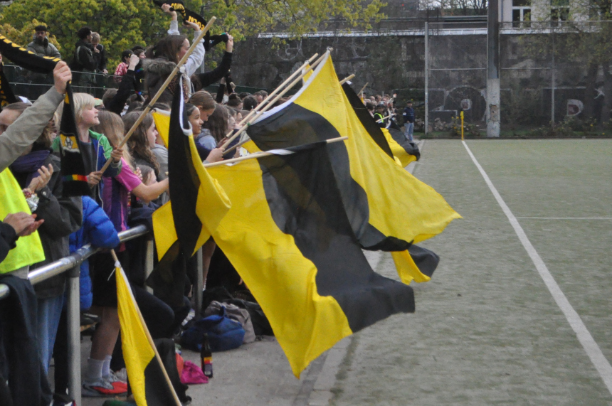 Zuschauende stehen am Spielfeldrand und schwenken große schwarz-gelbe Fahnen; viele Menschen drängen sich hinter einer Absperrung. Foto: BFV