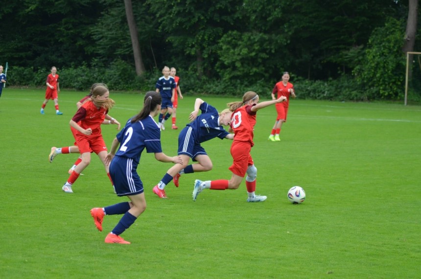 Eine Gruppe von Mädchen spielt Fußball auf grünem Feld. Zwei Teams in roten und blauen Trikots kämpfen um den Ball. Foto: BFV